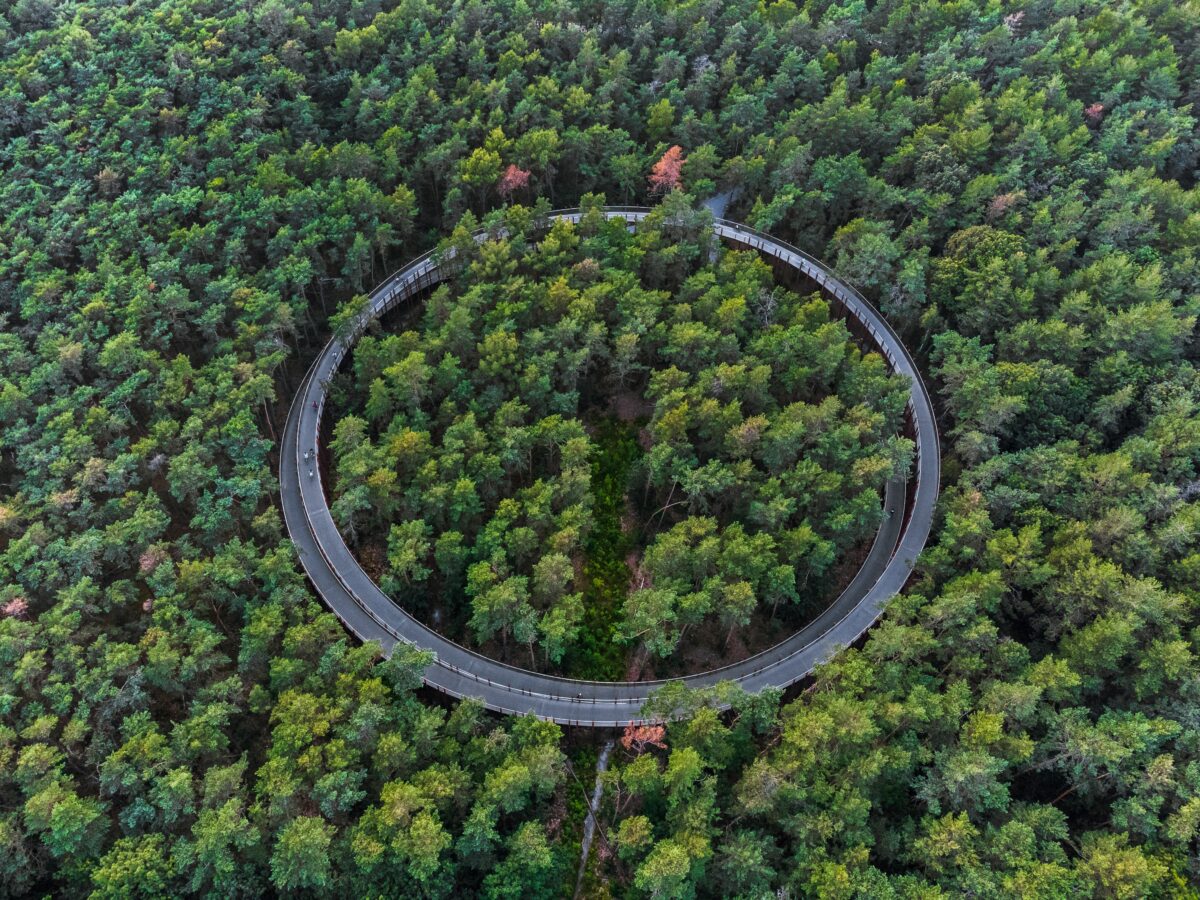 Round Forest Bike Path